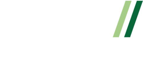 BSOV Logo